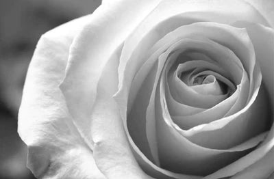 gold and platinum lab diamond engagement rings