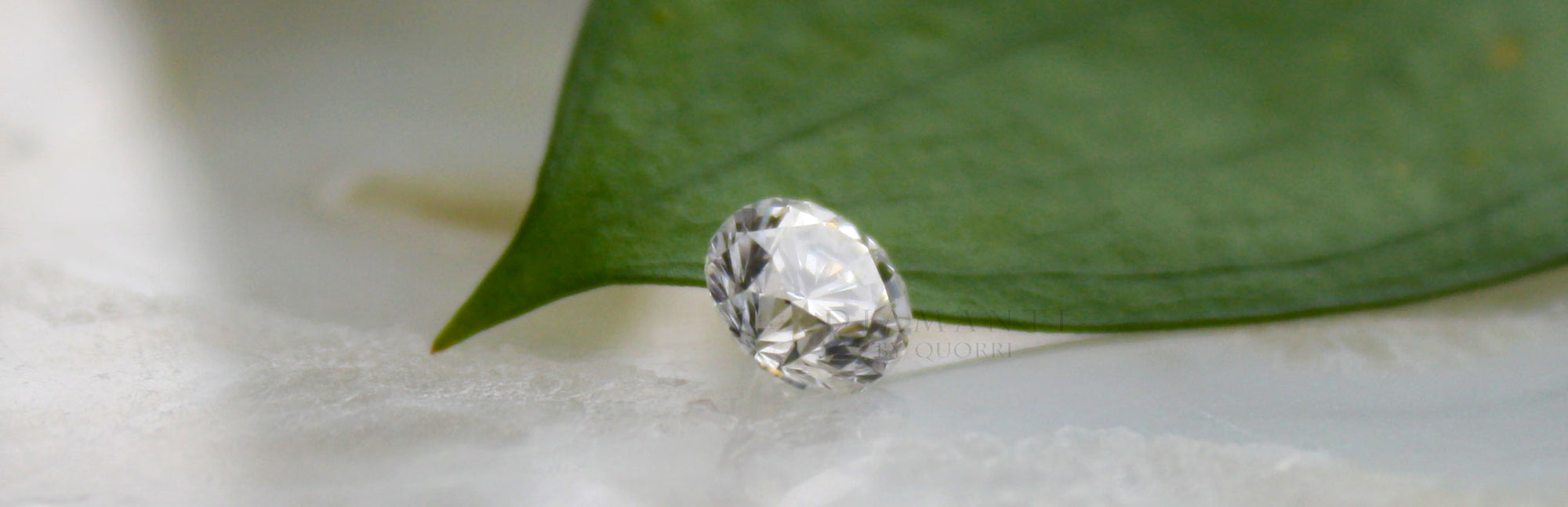 affordable lab grown diamonds and gems gallery Quorri