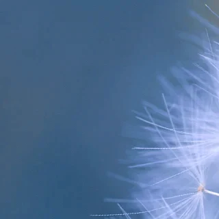 customize and create your custom own diamond engagement ring at Quorri