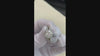 accented 18k white gold Cushion halo lab created diamond engagement ring and wedding band set Quorri Canada