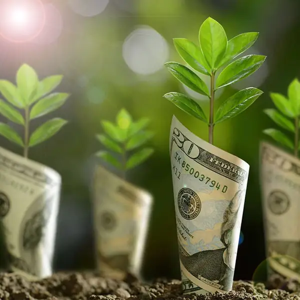 value and price affordability for lab diamonds in Canada and USA