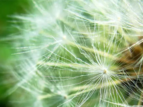 why lab diamonds are better for the climate change and environment Canada